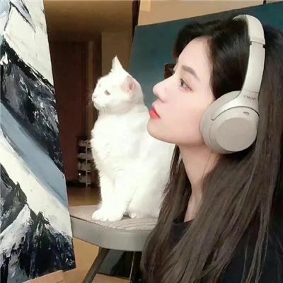 小姨多鹤 海报