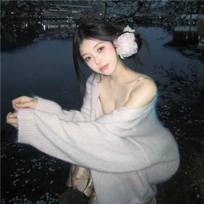 灵狐 海报